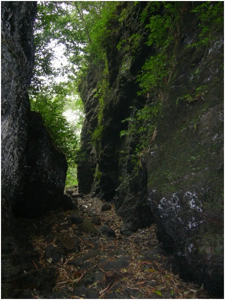 2008-3-30 am 11-20-57-峽谷4.jpg